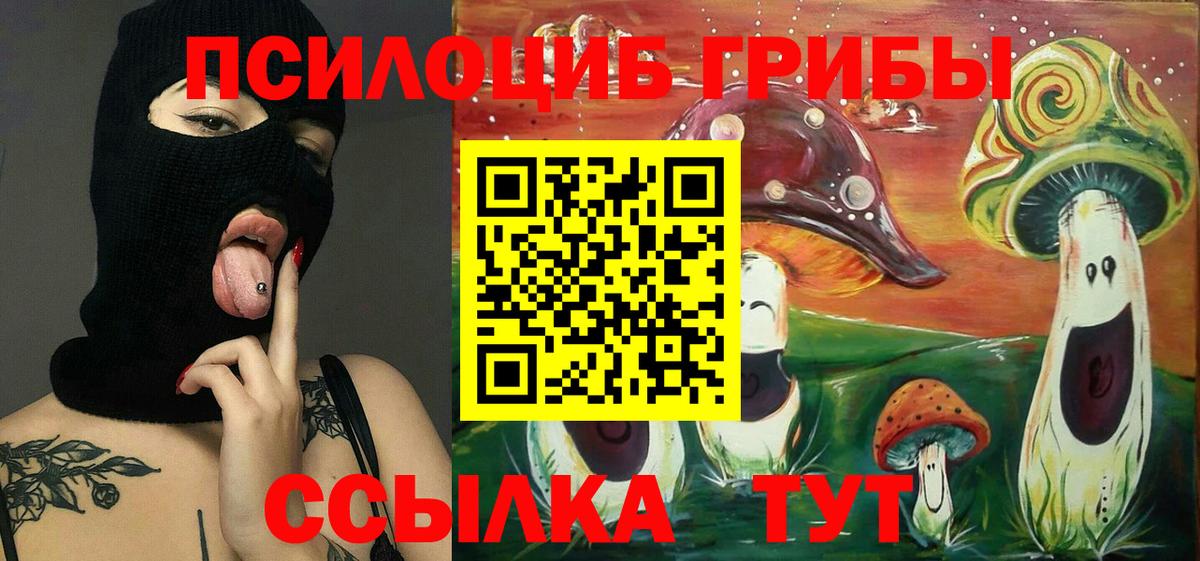 Псилоцибиновые грибы GOLDEN TEACHER Верхняя Пышма